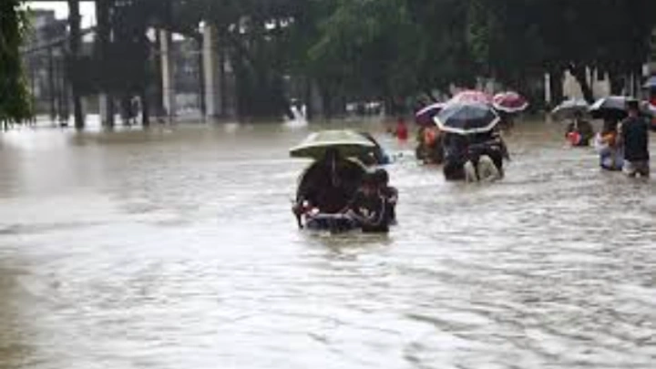 ছবি: সংগৃহীত।