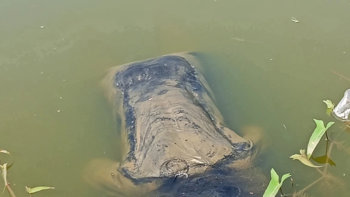 ছবি : বিএমএফ টেলিভিশন 