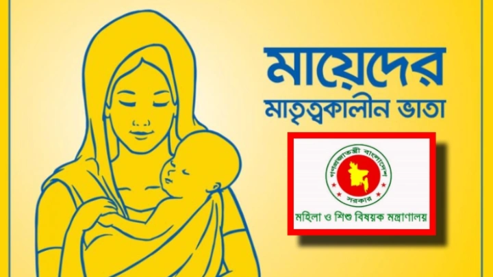 ছবি: সংগৃহীত।