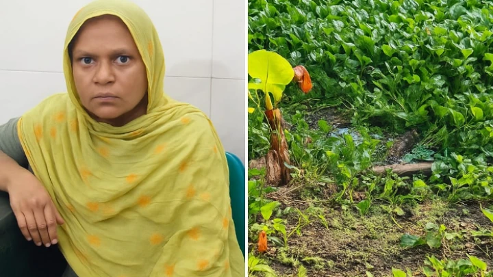 ছবি: বিএমএফ টেলিভিশন।