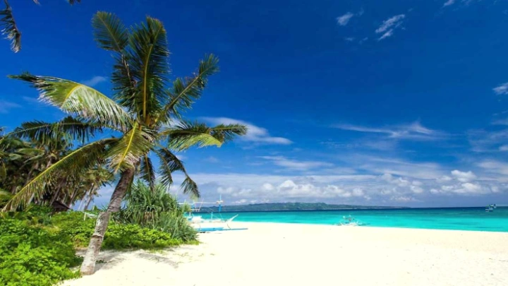ছবি: সংগৃহীত।