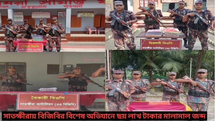 সাতক্ষীরায় বিজিবির বিশেষ অভিযানে ছয় লাখ টাকার মালামাল জব্দ ছবি: বিএমএফ টেলিভিশন।