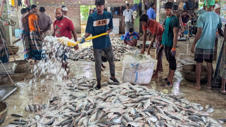 ছবি: সংগৃহীত।