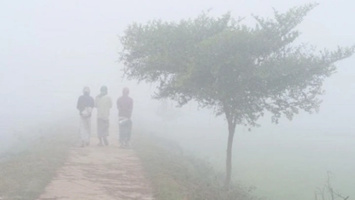 ছবি: সংগৃহীত।