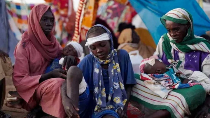 ছবি: সংগৃহীত।