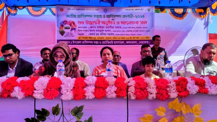 ছবি: বিএমএফ টেলিভিশন।