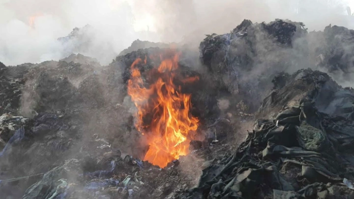 ছবি: সংগৃহীত।