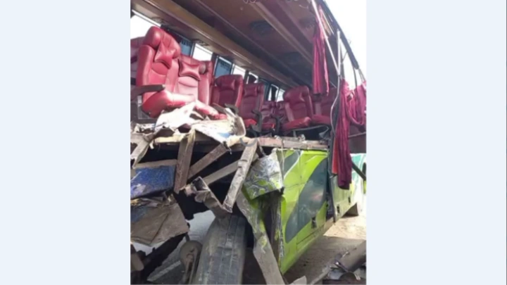 ছবি: বিএমএফ টেলিভিশন।