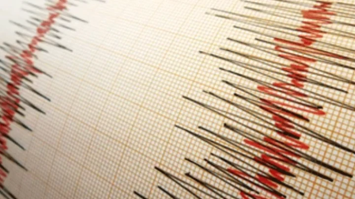 ছবি: সংগৃহীত।