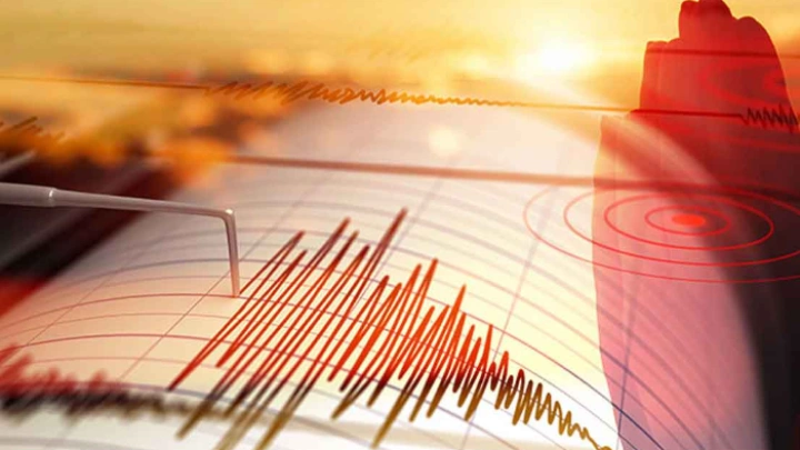 ছবি: সংগৃহীত।