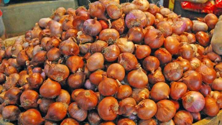 ছবি: সংগৃহীত।