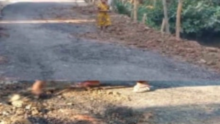 ছবি: বিএমএফ টেলিভিশন।