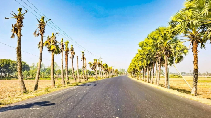 ছবি: বিএমএফ টেলিভিশন।