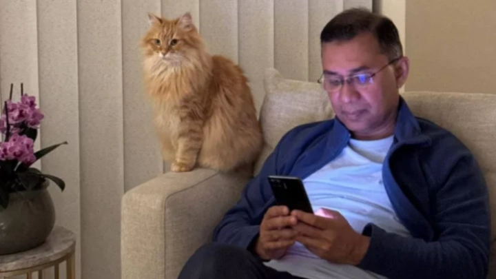 ছবি: সংগৃহীত।