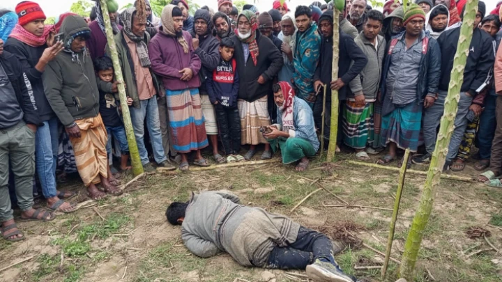 ছবি: বিএমএফ টেলিভিশন।