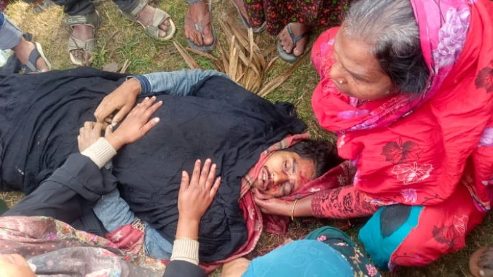 ছবি: সংগৃহীত।