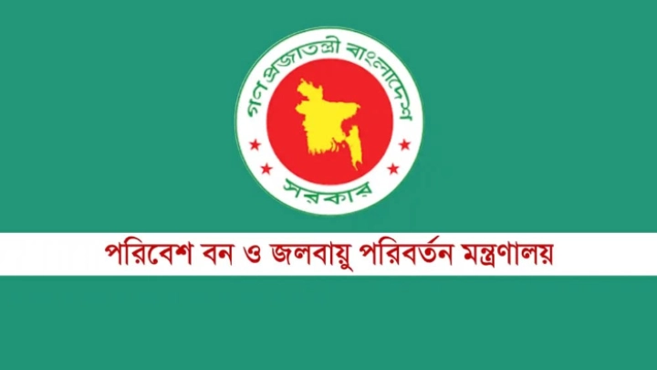 ছবি: সংগৃহীত।