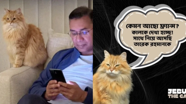 ছবি: সংগৃহীত।