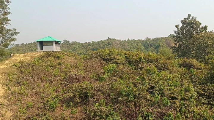 ছবি: সংগৃহীত।