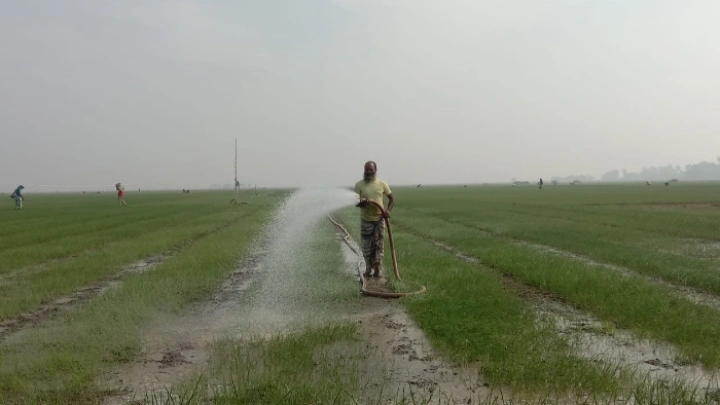 ছবি: বিএমএফ টেলিভিশন।