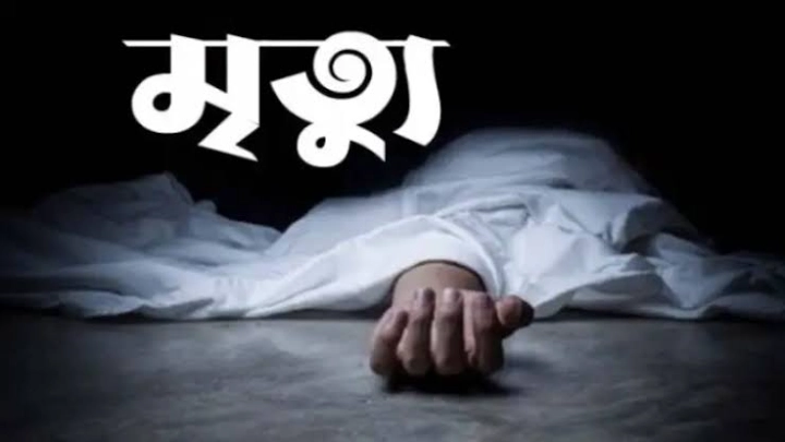 ফাইল ফটো