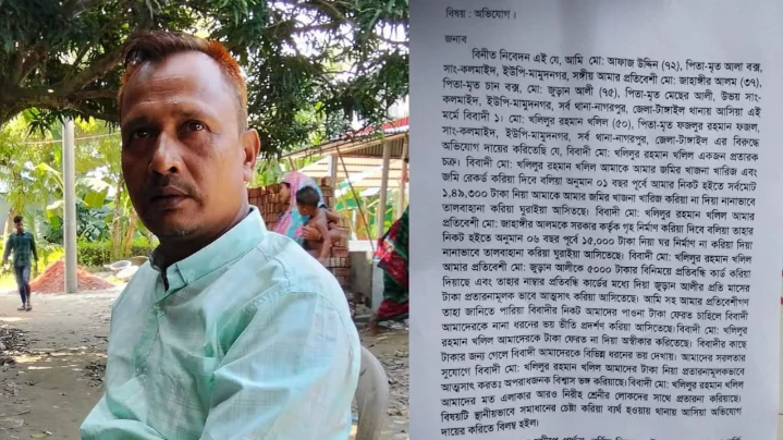 সংগ্রহ ছবি 