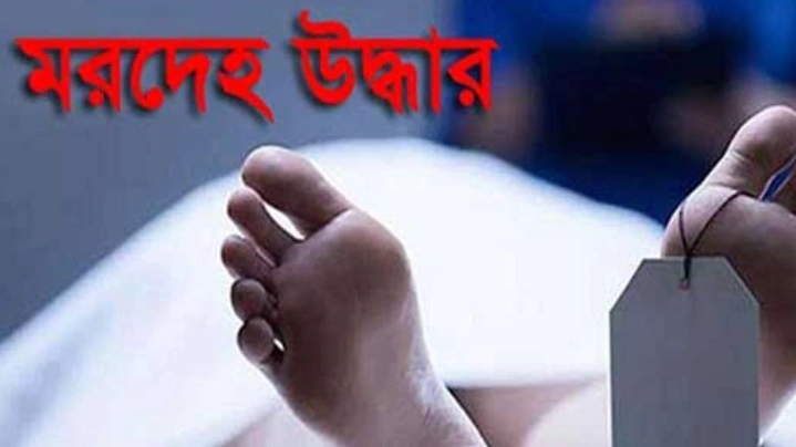 ছবি: সংগৃহীত।