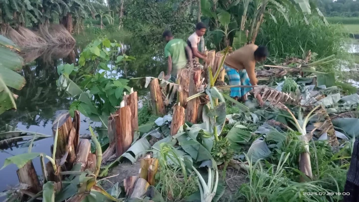 ছবি: বিএমএফ টেলিভিশন।