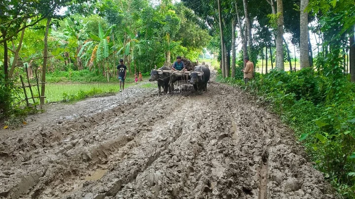 ছবি : বিএমএফ টেলিভিশন 