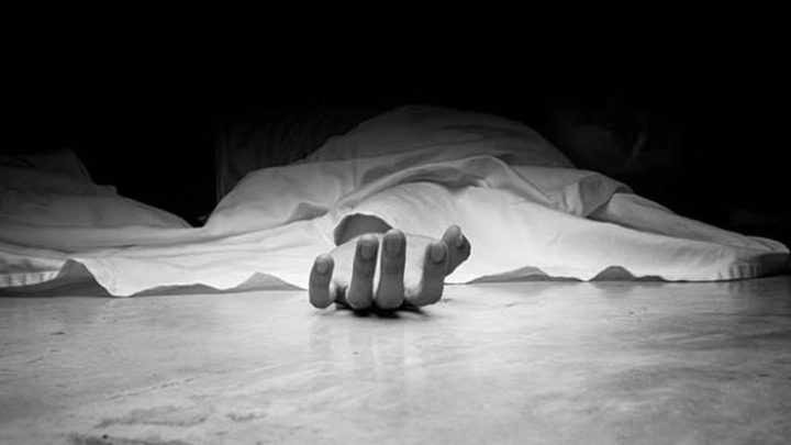 ছবি: সংগৃহীত।