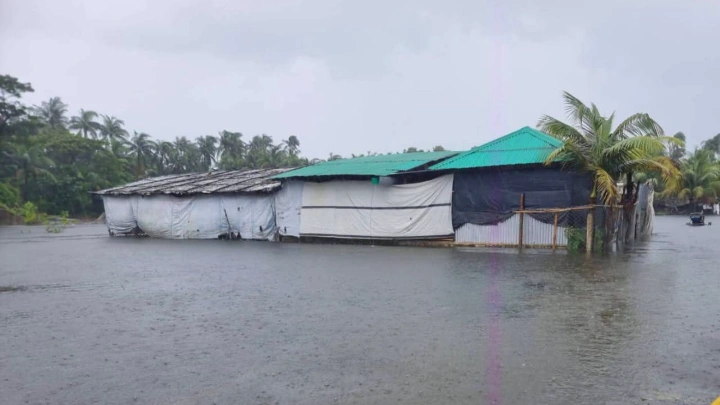 ছবি: বিএমএফ টেলিভিশন।