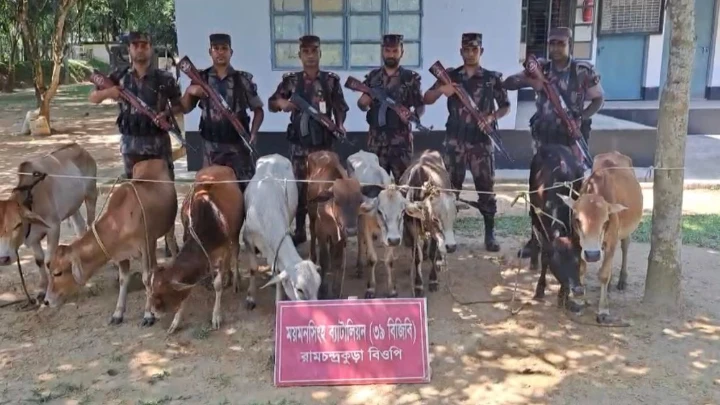 ছবি: বিএমএফ টেলিভিশন।