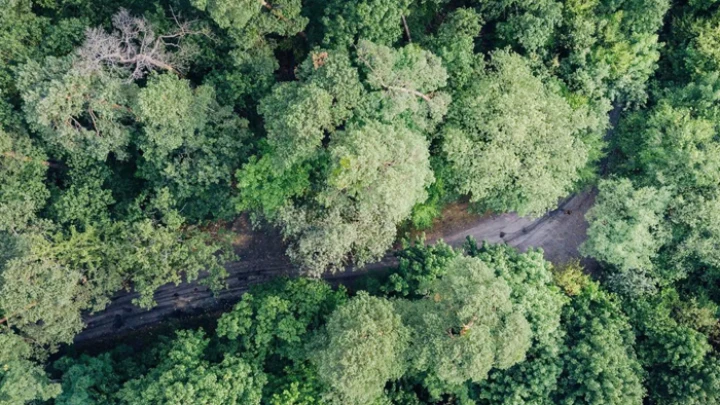ছবি: সংগৃহীত।