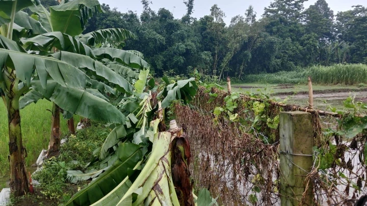 ছবি: বিএমএফ টেলিভিশন।