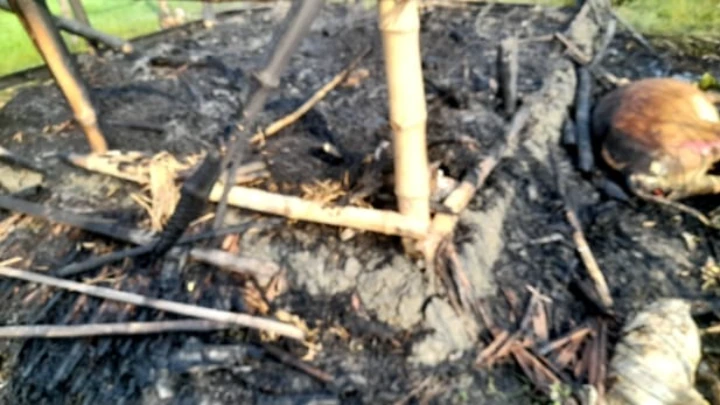 ছবি: বিএমএফ টেলিভিশন।