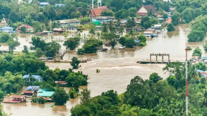 ছবি: সংগৃহীত।