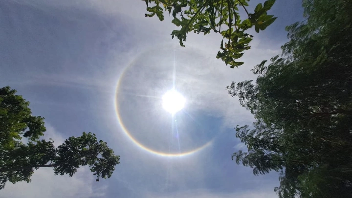 ছবি: বিএমএফ টেলিভিশন।