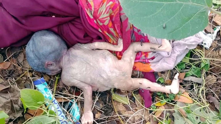 ছবি: বিএমএফ টেলিভিশন।