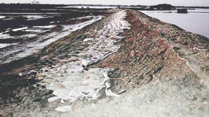 ছবি: বিএমএফ টেলিভিশন।