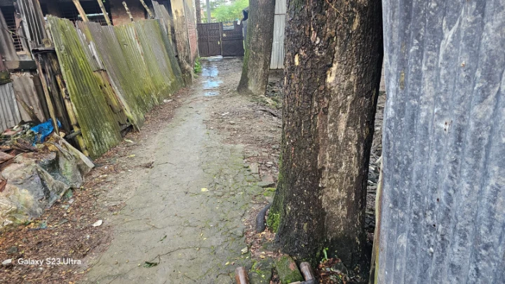 ছবি: বিএমএফ টেলিভিশন।