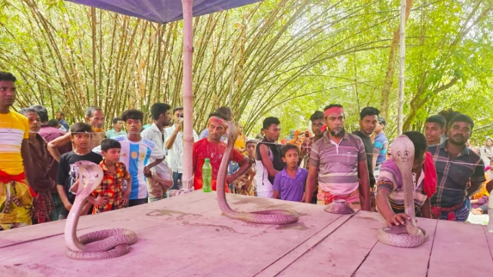 ছবি: বিএমএফ টেলিভিশন।