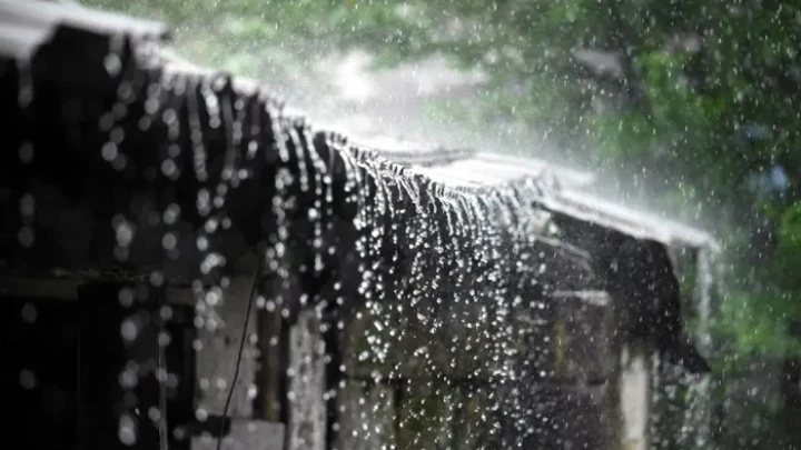 ছবি: সংগৃহীত।