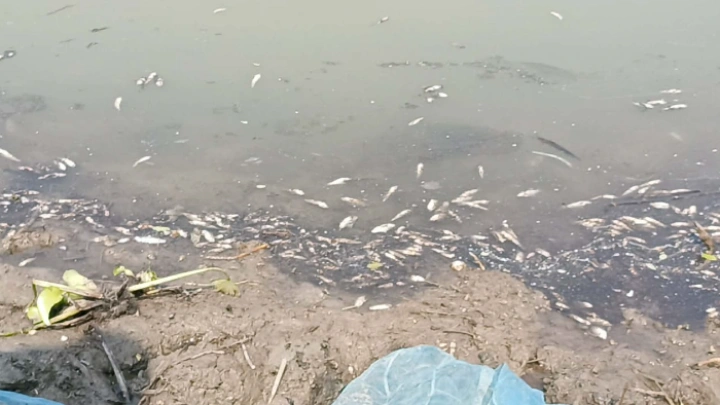 ছবি: বিএমএফ টেলিভিশন।