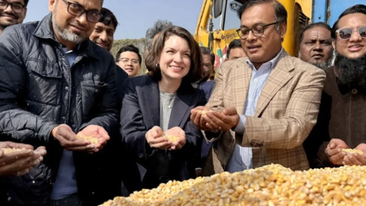 ছবি: সংগৃহীত।