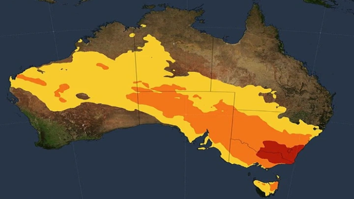 ছবি: সংগৃহীত।