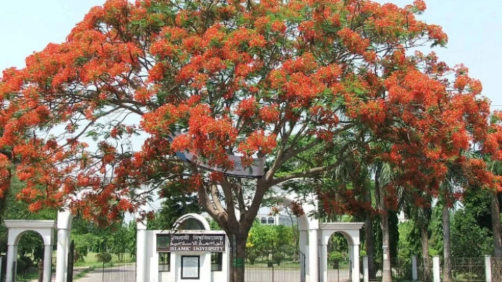 ছবি: বিএমএফ টেলিভিশন।