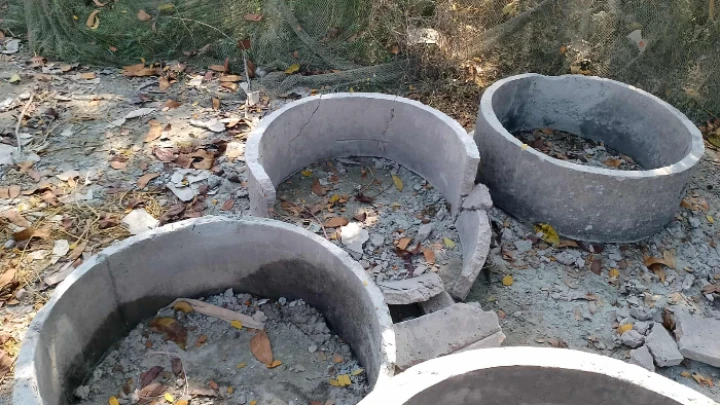 ছবি: বিএমএফ টেলিভিশন।