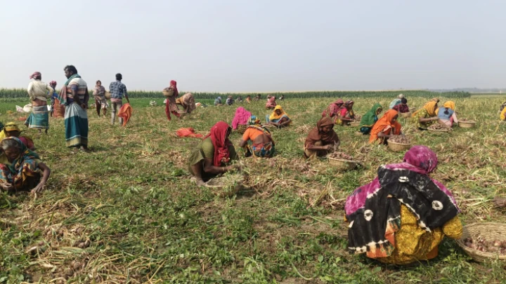 ছবি: বিএমএফ টেলিভিশন।