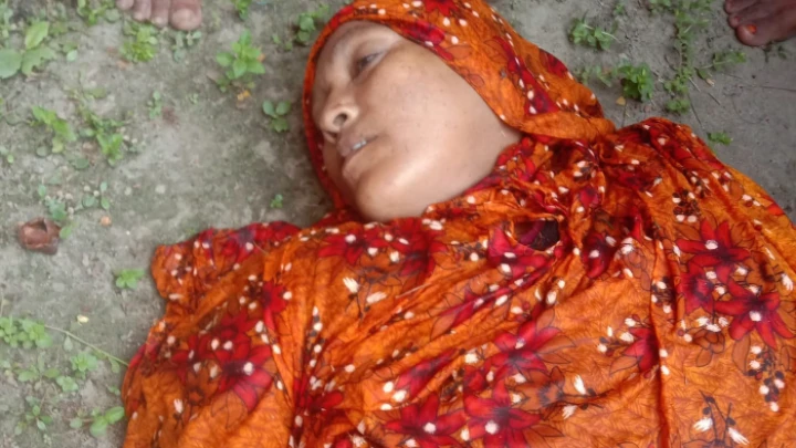 ছবি: সংগৃহীত।