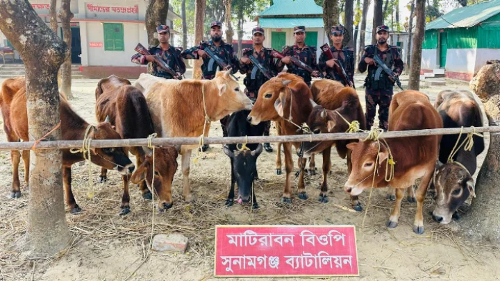 ছবি: বিএমএফ টেলিভিশন।